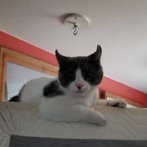 Meet your Posher, Andrea